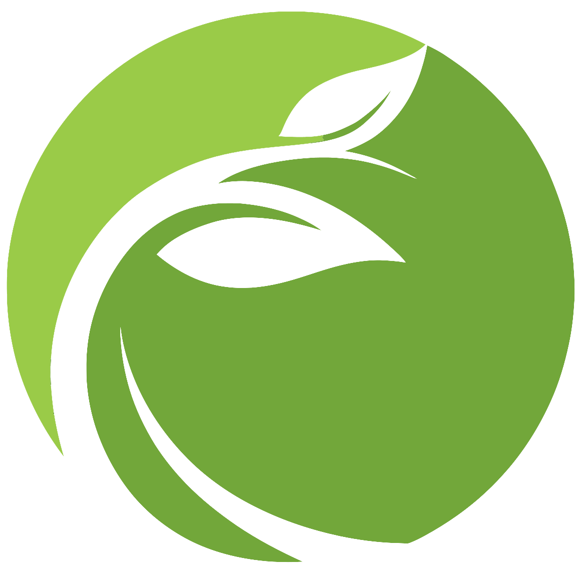Ayu Village Wellness